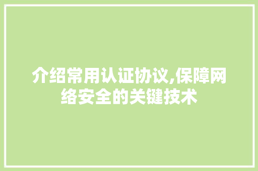 介绍常用认证协议,保障网络安全的关键技术
