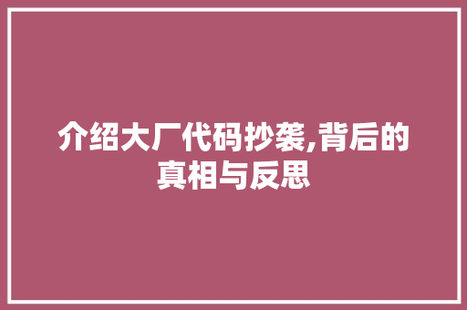 介绍大厂代码抄袭,背后的真相与反思 搜狗SEO