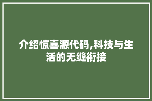 介绍惊喜源代码,科技与生活的无缝衔接