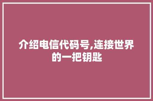 介绍电信代码号,连接世界的一把钥匙 百度SEO