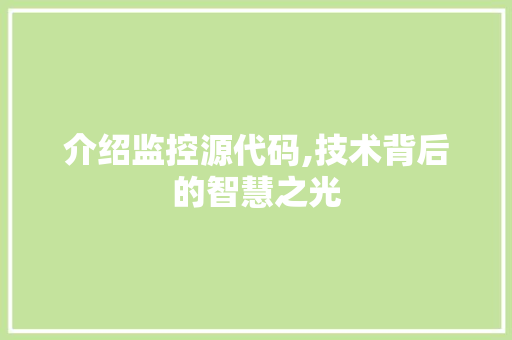 介绍监控源代码,技术背后的智慧之光 神马SEO