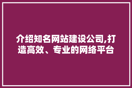 介绍知名网站建设公司,打造高效、专业的网络平台 必应SEO