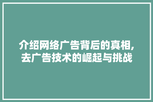 介绍网络广告背后的真相,去广告技术的崛起与挑战