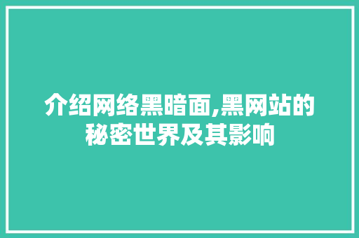 介绍网络黑暗面,黑网站的秘密世界及其影响 神马SEO