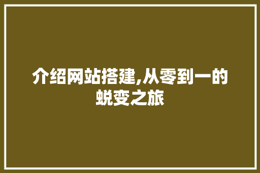 介绍网站搭建,从零到一的蜕变之旅