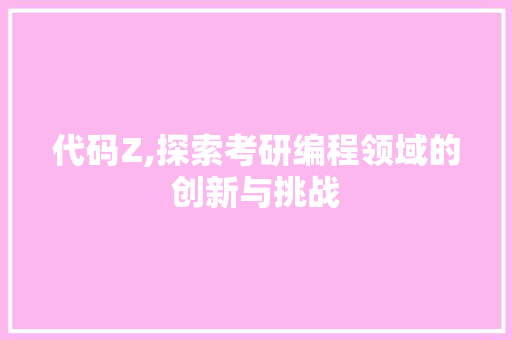 代码Z,探索考研编程领域的创新与挑战