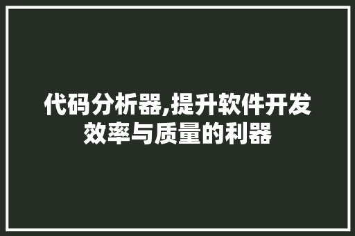 代码分析器,提升软件开发效率与质量的利器 网站建设公司