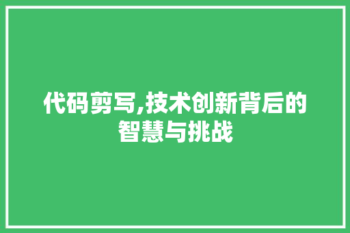 代码剪写,技术创新背后的智慧与挑战