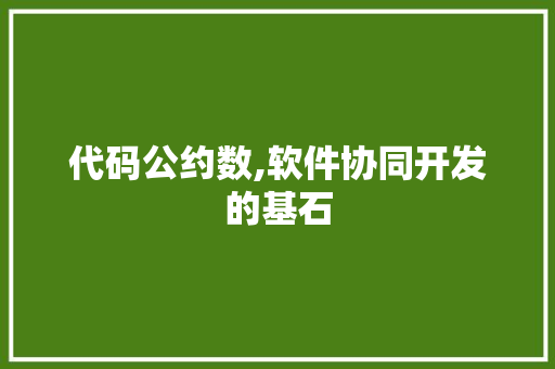 代码公约数,软件协同开发的基石 必应SEO