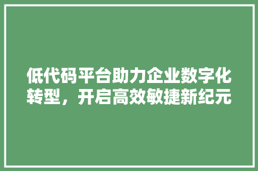 低代码平台助力企业数字化转型，开启高效敏捷新纪元