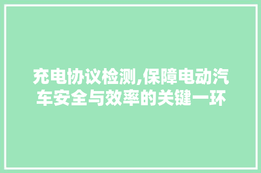 充电协议检测,保障电动汽车安全与效率的关键一环 SEO关键词
