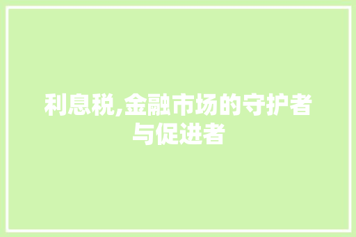 利息税,金融市场的守护者与促进者 网站建设公司