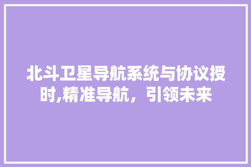 北斗卫星导航系统与协议授时,精准导航，引领未来