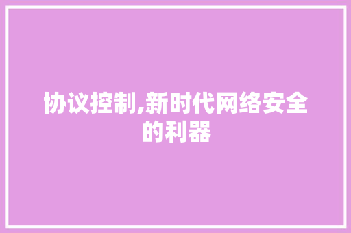 协议控制,新时代网络安全的利器 网站建设公司