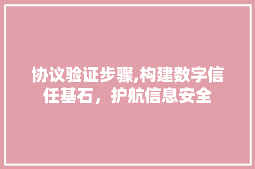 协议验证步骤,构建数字信任基石，护航信息安全 网站建设公司