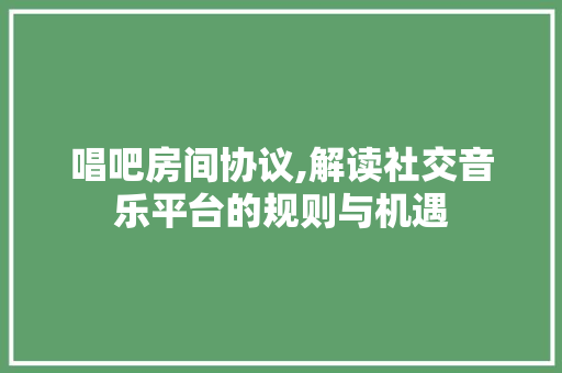 唱吧房间协议,解读社交音乐平台的规则与机遇 神马SEO