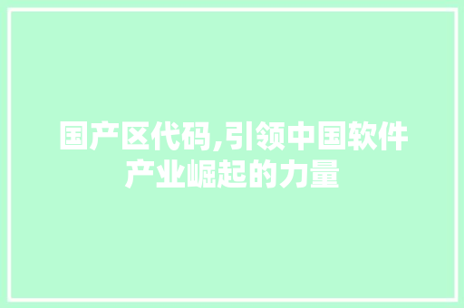 国产区代码,引领中国软件产业崛起的力量