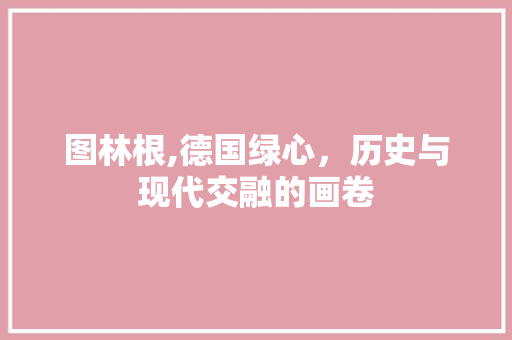 图林根,德国绿心，历史与现代交融的画卷