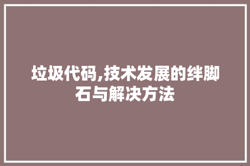 垃圾代码,技术发展的绊脚石与解决方法 网站建设公司