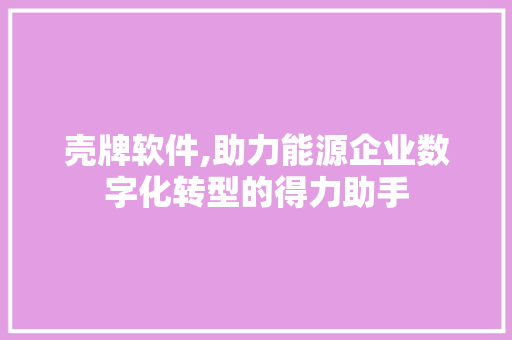 壳牌软件,助力能源企业数字化转型的得力助手
