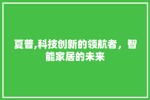 夏普,科技创新的领航者，智能家居的未来