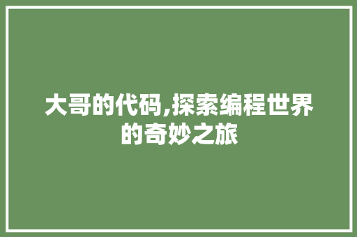 大哥的代码,探索编程世界的奇妙之旅 百度SEO