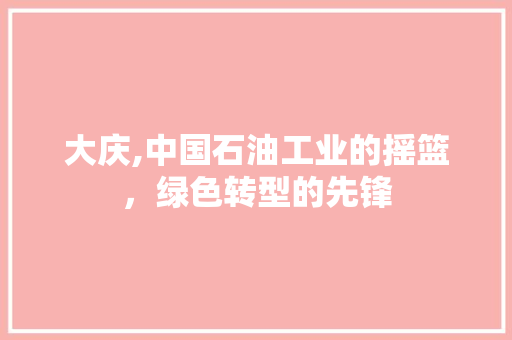 大庆,中国石油工业的摇篮，绿色转型的先锋 网站建设公司