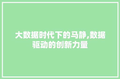 大数据时代下的马静,数据驱动的创新力量
