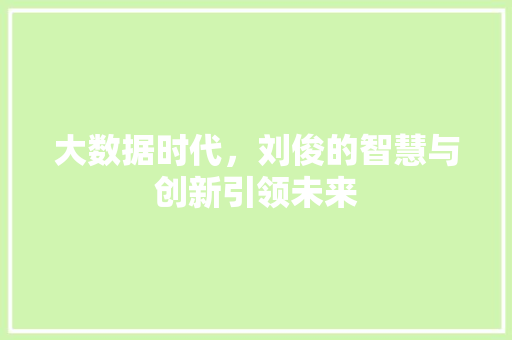 大数据时代，刘俊的智慧与创新引领未来