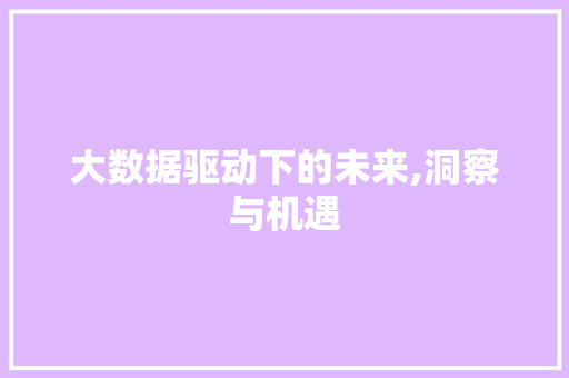 大数据驱动下的未来,洞察与机遇 必应SEO