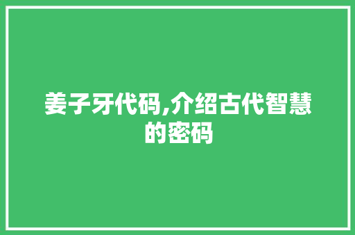 姜子牙代码,介绍古代智慧的密码 神马SEO
