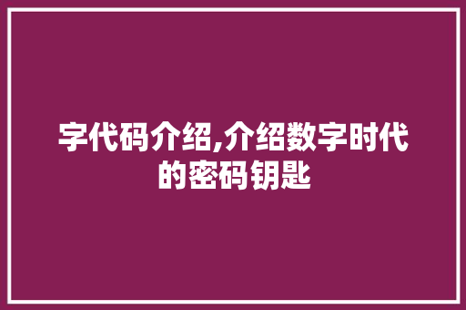 字代码介绍,介绍数字时代的密码钥匙 搜狗SEO