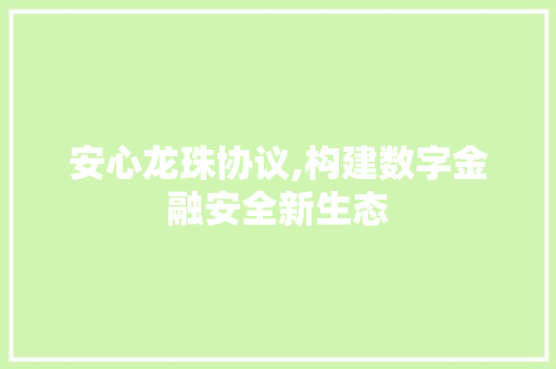 安心龙珠协议,构建数字金融安全新生态