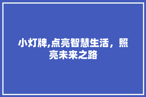 小灯牌,点亮智慧生活，照亮未来之路
