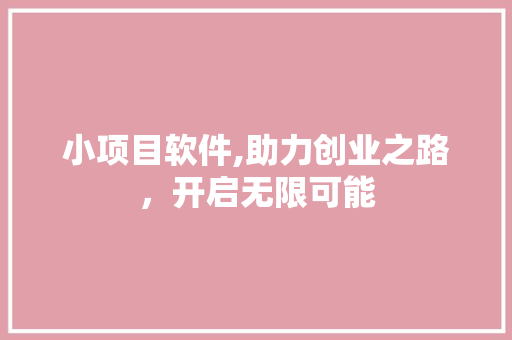 小项目软件,助力创业之路，开启无限可能