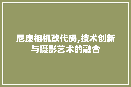 尼康相机改代码,技术创新与摄影艺术的融合 百度SEO