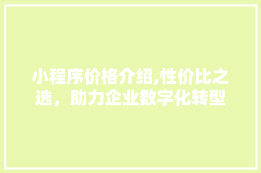 小程序价格介绍,性价比之选，助力企业数字化转型