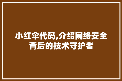 小红伞代码,介绍网络安全背后的技术守护者