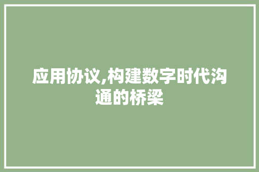 应用协议,构建数字时代沟通的桥梁 神马SEO