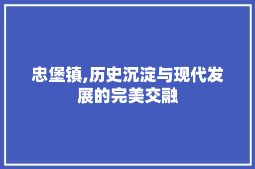 忠堡镇,历史沉淀与现代发展的完美交融 百度SEO