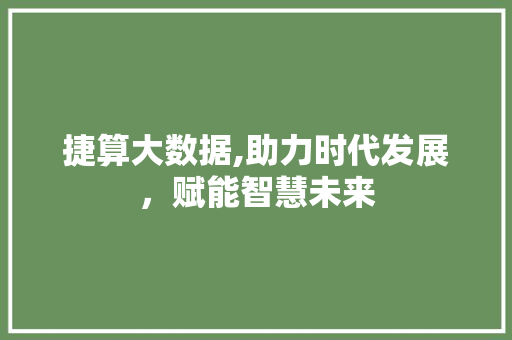 捷算大数据,助力时代发展，赋能智慧未来