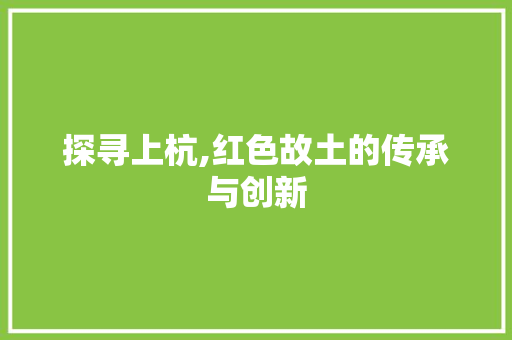 探寻上杭,红色故土的传承与创新 网站建设公司