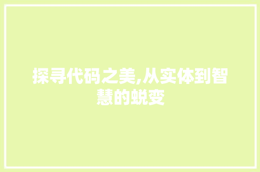 探寻代码之美,从实体到智慧的蜕变