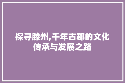 探寻滕州,千年古郡的文化传承与发展之路 网站建设公司