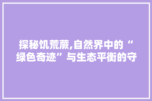 探秘饥荒蕨,自然界中的“绿色奇迹”与生态平衡的守护者