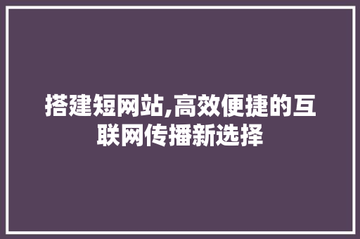 搭建短网站,高效便捷的互联网传播新选择 SEO关键词
