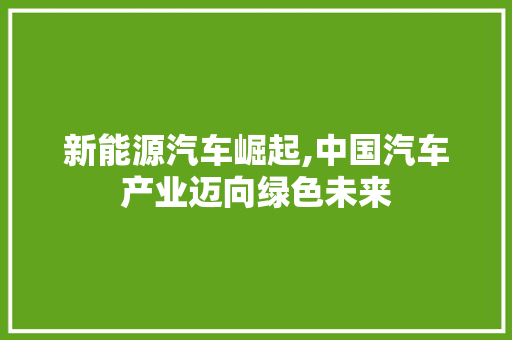 新能源汽车崛起,中国汽车产业迈向绿色未来 搜狗SEO