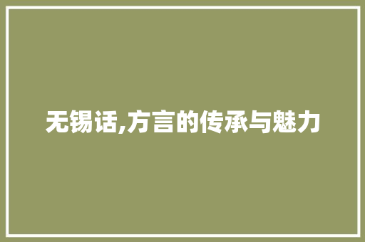 无锡话,方言的传承与魅力