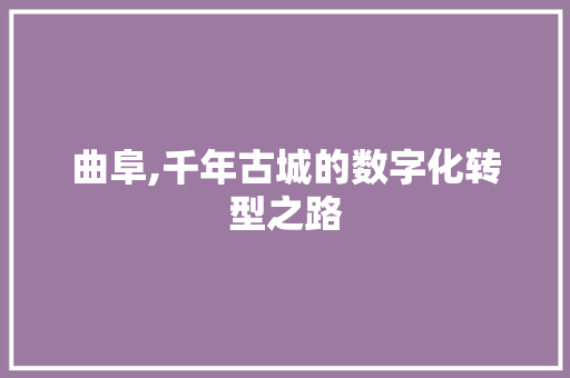曲阜,千年古城的数字化转型之路