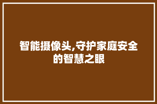 智能摄像头,守护家庭安全的智慧之眼 百度SEO